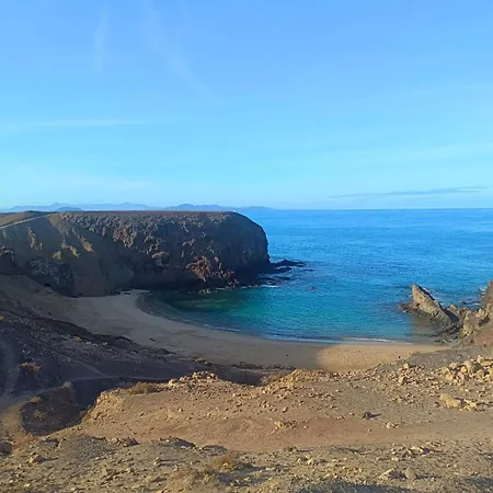 فيلة Serendipia *